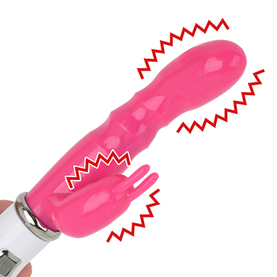 �o�C�u���[�^�[�Ƃ́H��l�̂�������̑�\�ł���o�C�u�̊�b�m��